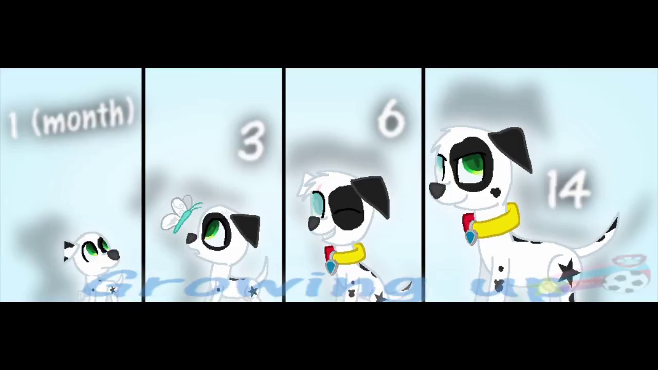 camera iphone 8 plus apk problem with the speedpaint (pacificly 