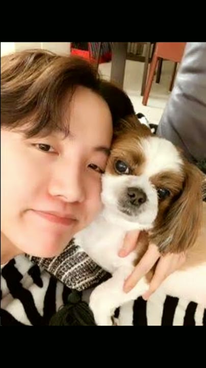 BTS member and his pets RM/Jin/Suga/Jhope/Jimin/V/Jungkook💙💖🖤❤💛💚💜