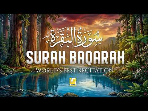 Surah Al Baqarah Full (سورة البقره) HEART TOUCHING RECITATION | Zikrullah Reciters