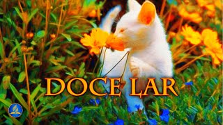 Vídeo de 566 – Doce Lar