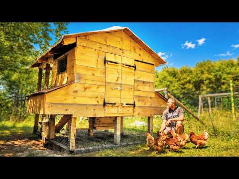 Building a Villa for our Chickens / It's Finally Done
