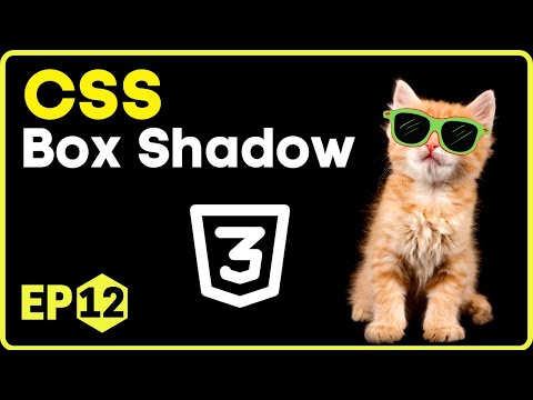 CSS Box Shadow | CSS in Hindi - 12 #css3
