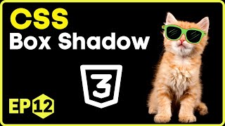 CSS Box Shadow | CSS in Hindi - 12 #css3
