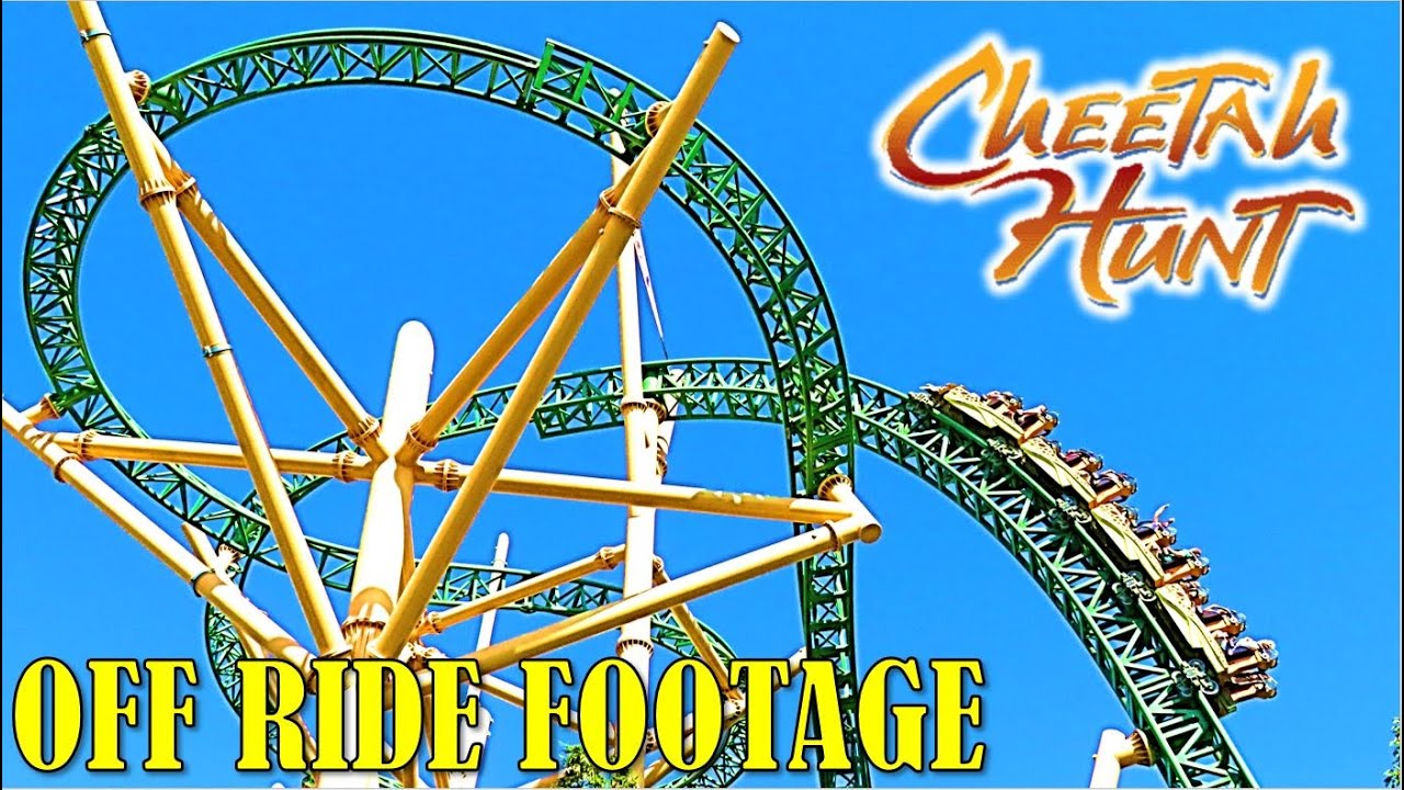 Cheetah Hunt at Busch Gardens Tampa Off-Ride Footage (No Copyright)