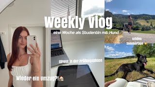 UNI ALLTAG mit Hund, Prüfungszeit & schon wieder UMZIEHEN?! | Weekly Vlog by Kim Jaro 2,533 views 9 months ago 12 minutes, 44 seconds