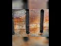 Bee Colony Mystery: Propolis & Entrance Reducers! #shorts