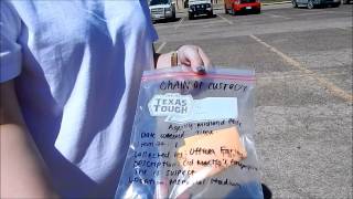 Forensic Project Investigation Net Worth