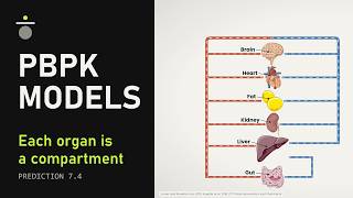 A PBPK Model Predicted a 10-Fold Drug Interaction Before the Study | PBPK Models (Prediction 7.4)