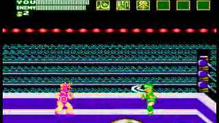 TAS 飛龍の拳 奥義の書 21:39.17 - Flying Dragon: The Secret Scroll screenshot 4