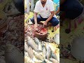 fisha lugu baccha ravu#