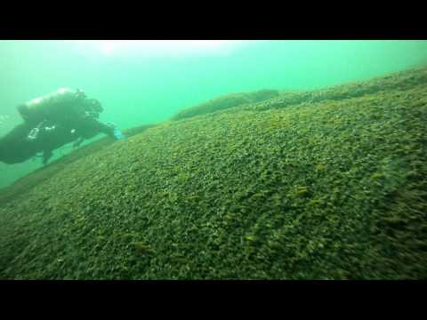 Brockville, Ontario Dive - May 15th 2011 - Lillie ...