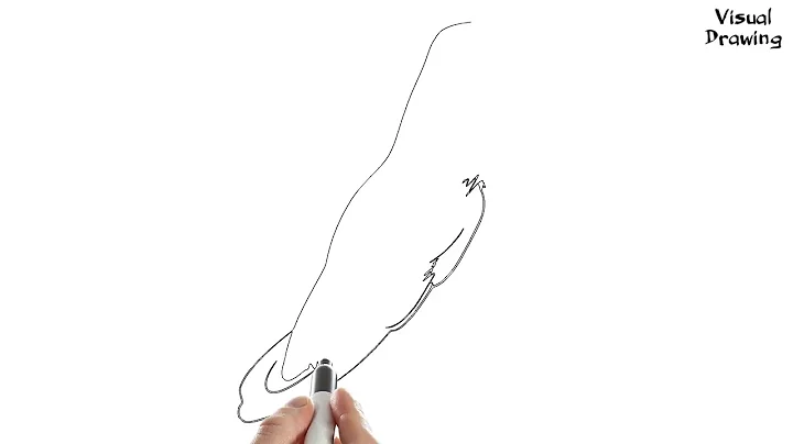 Barn Owl Bird Drawing Easy, How To Draw A Baby Barn Owl Flying For Beginners Step By Step