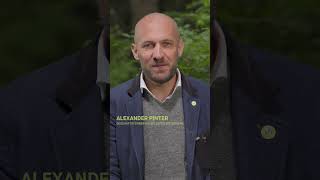 Zukunftsrohstoff Holz Warum Vielfalt Im Wald Entscheidend Ist