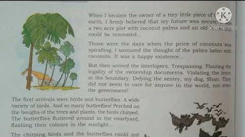 The rightful inheritors of the Earth.