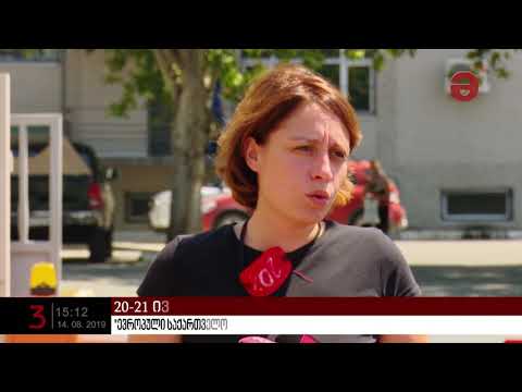 \"ევროპული საქართველოს\" წევრებმა 20-21 ივნისის საქმეზე დაკავებულებს შეხვდნენ