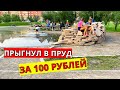 ПРЫГНУЛ В ПРУД / Гуляем в поле / Вычесывание кошки