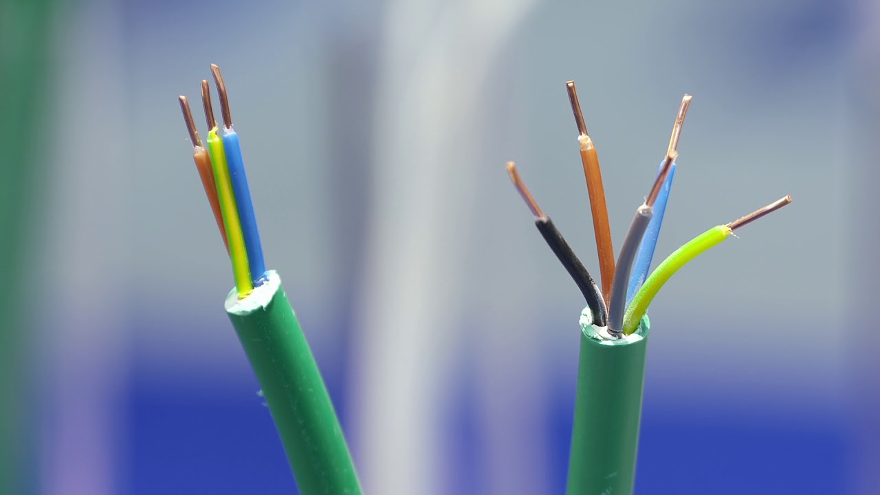 Focus Rexel - Cable 2017