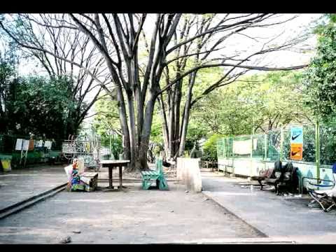 Drifter / MIYASHITA PARK