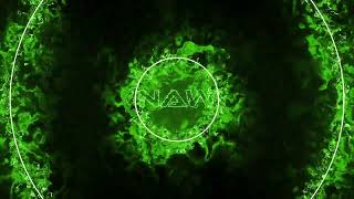 Bionic Pulse & Zivo - Rumble In The Jungle