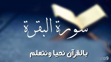 سوره البقره ( متشابهات ان الله لا يستحيى ان يضرب مثلا ) تثبيت وتربيط ومتشابهات الربع الثانى