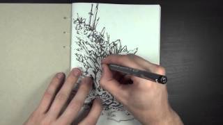 Drawing in my Book #32 (Starting a New Book)