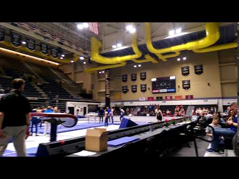 Virtual Stars Championships - Bright Raven Gymnastics - Jack D'Ambrosia - L10 Vault