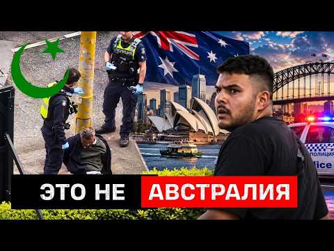 И снова они напали