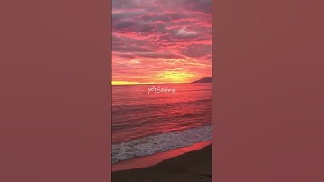 سورة الفتح بصوت القارئ الشيخ عبد الرحمن مسعد ❤️🌸