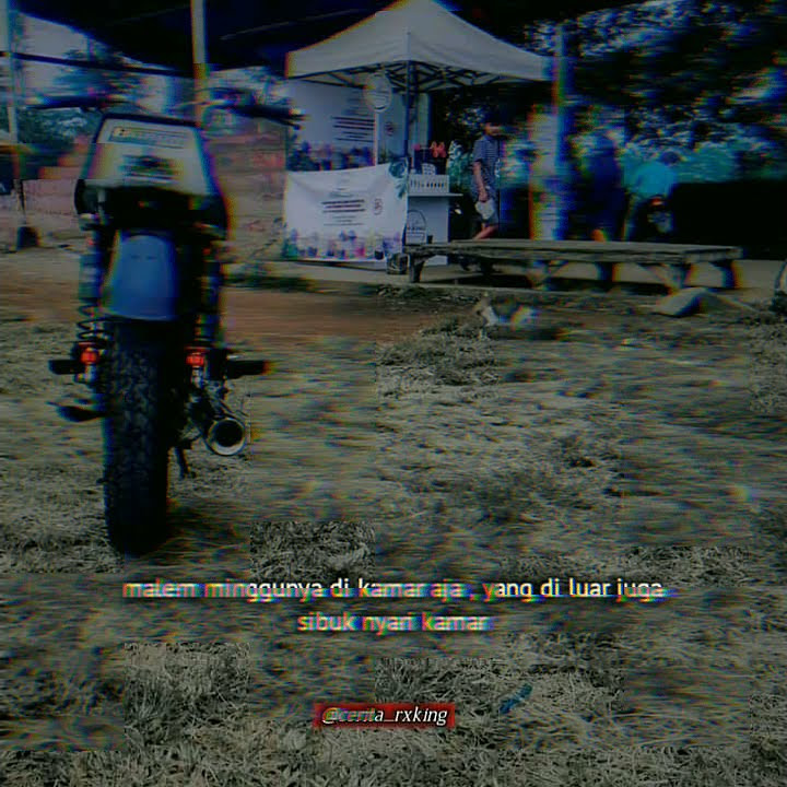 story wa rx king