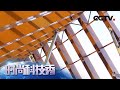 碲化镉薄膜光伏发电玻璃《时尚科技秀》20200730 | CCTV科教