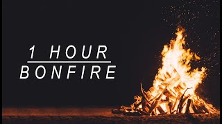 1 Hour of Relaxing Fire Sounds, Fireplace, Bonfire | EP #166