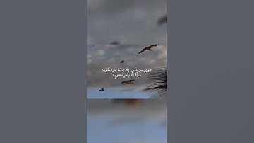 تلاوة تريح القلب سبحان من رزقه هذا الصوت 😪||حالات وتس اب 🖤