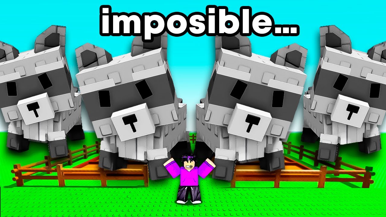 maxresdefault.jpg