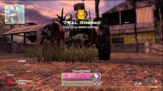 Celebrity MW2 - Harrier, Pavelow, Nuke Net Worth