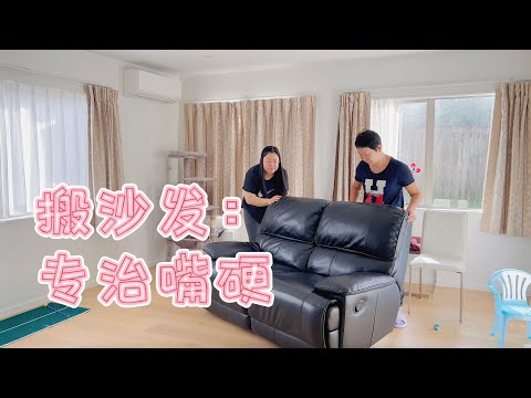 哼哼拆礼物大赏｜假期遛娃：博物馆看鸭子+海洋馆观企鹅｜嘴硬的Penny搬沙发搬服了｜新西兰生活vlog