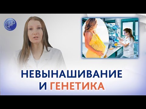 Как связаны гены и хромосомы ответы