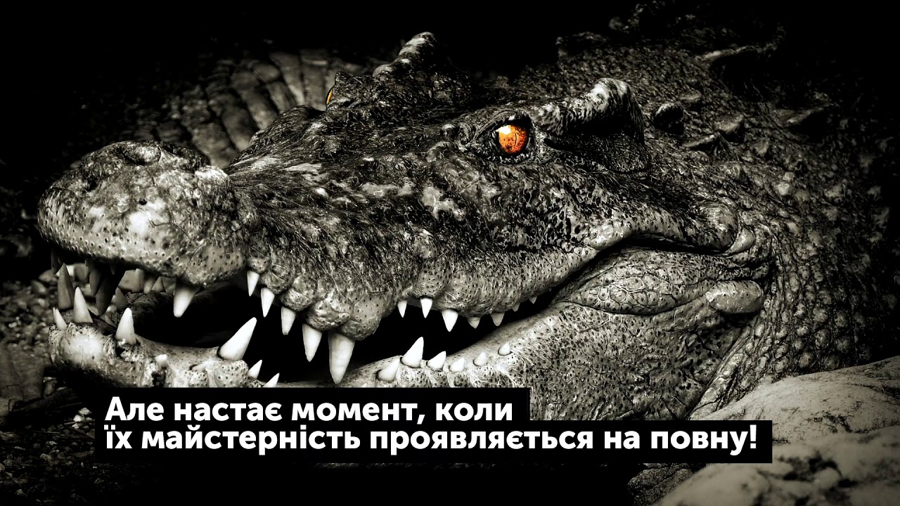 Юридические услуги Украина - YouTube