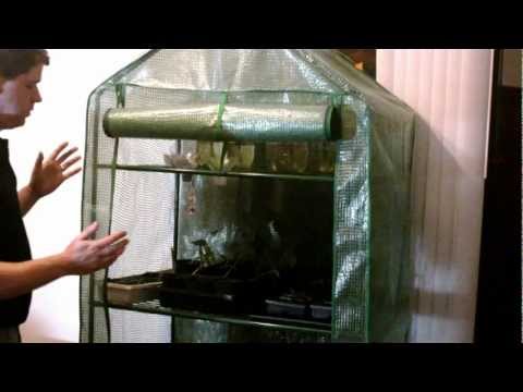 How to: Indoor Greenhouse Experiment w/2-Liter Bottle Wicking System