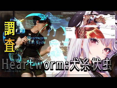 【heartworm】ホラーゲーム調査 犬糸状虫【 #バ美肉 / Vtuber / 朱羽美寧 】