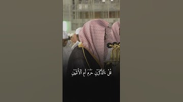 ثمانية أزواج من الضأن اثنين ومن المعز اثنين…الاية 143 سورة الانعام || الشيخ #سعود_الشريم #shuraim