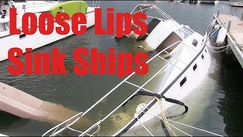 A Complete Loss! - Lazy Gecko VLOG 55