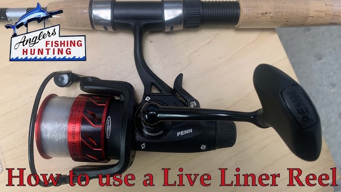 Penn Fierce 3 Live Liner Reel Review 