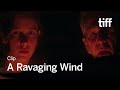 A  RAVAGING WIND Clip | TIFF 2023