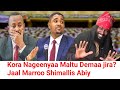 ODUU Hatattamaa Jaal Marroo Shimallis Abiy Marii Godhaani Moha Oromo ODUU Hatattamaa Jaal Marroo Shimallis Abiy Marii Godhaani Moha Oromo