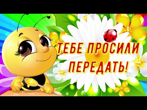 Я Посылаю Тебе Лучики Добра и Счастья! Хорошего Дня и Огромный Привет от Меня!