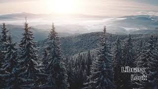 CameraTalk: Forest Snow Area