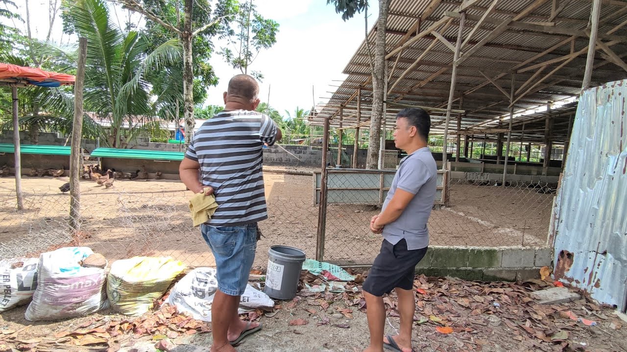 DUCK FARM IN NEW CORELLA DAVAO DEL NORTE