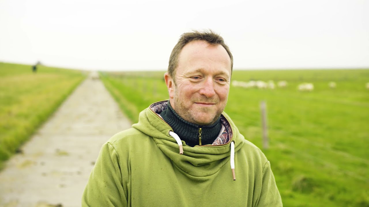 Herd protection on the dike - examples from practice