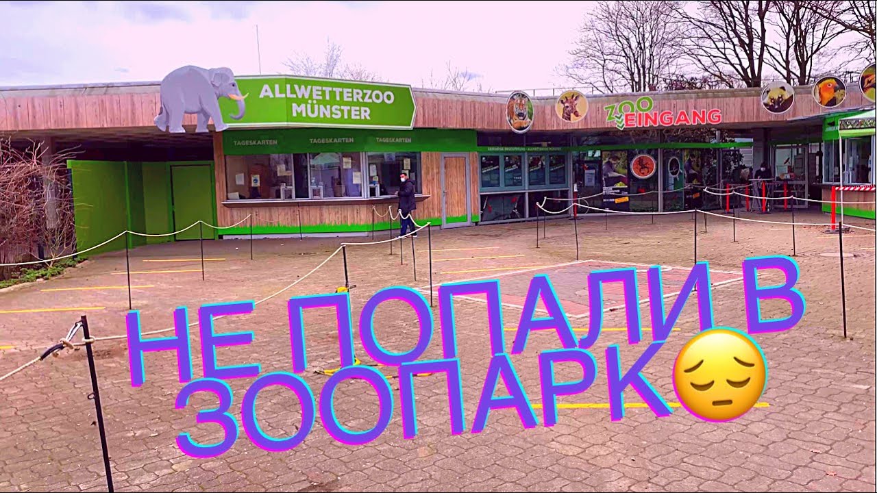 Как мы НЕ ПОПАЛИ в городской ЗООПАРК в Мюнстере/ наше воскресенье в ...