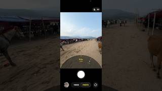 iPhone 13 zoom test in meghaloy #iphone #iphone13 #trending